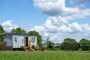 Honey Bee - Comfortable luxury shepherds hut with hot tub